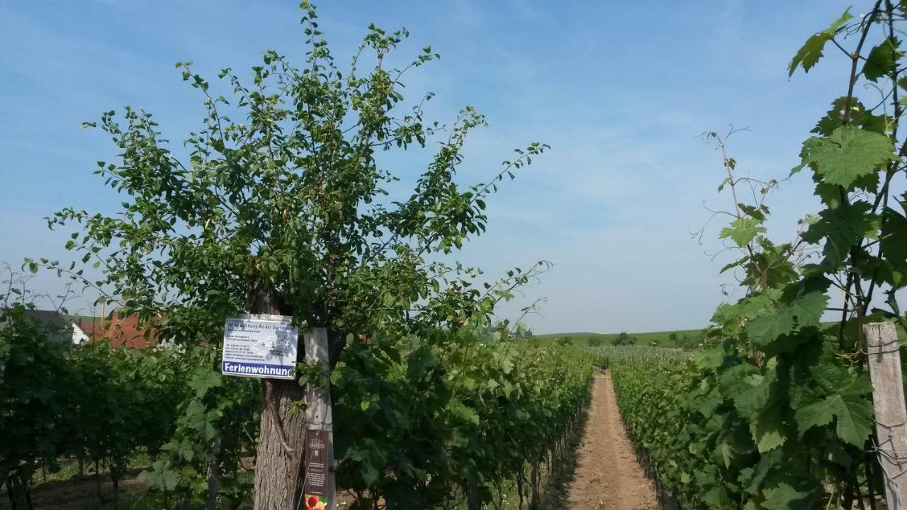 Ferienwohnung An Der Dorfmauer Sommerach Kültér fotó