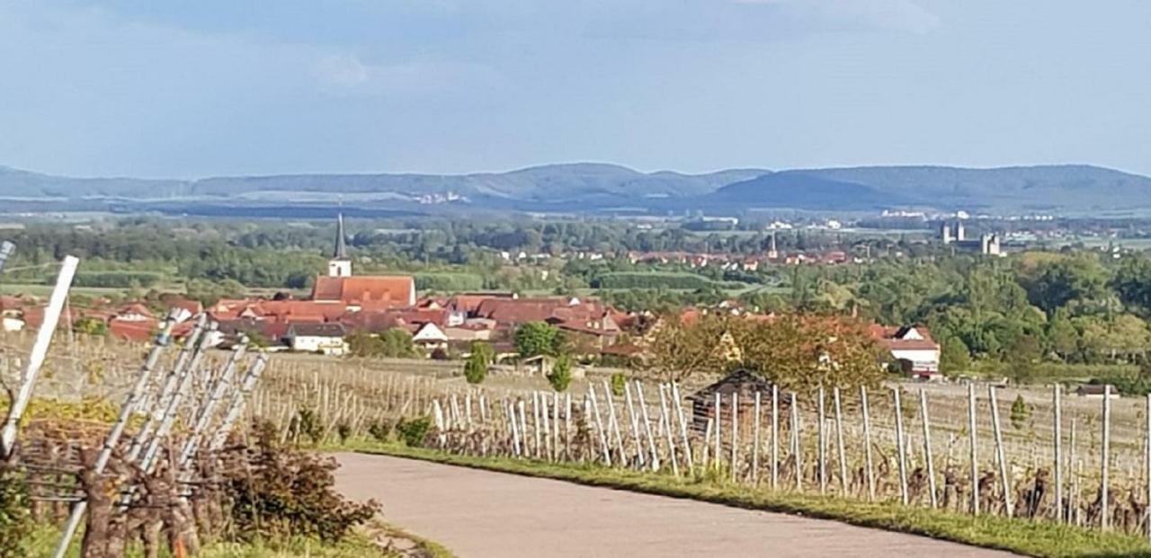 Ferienwohnung An Der Dorfmauer Sommerach Kültér fotó