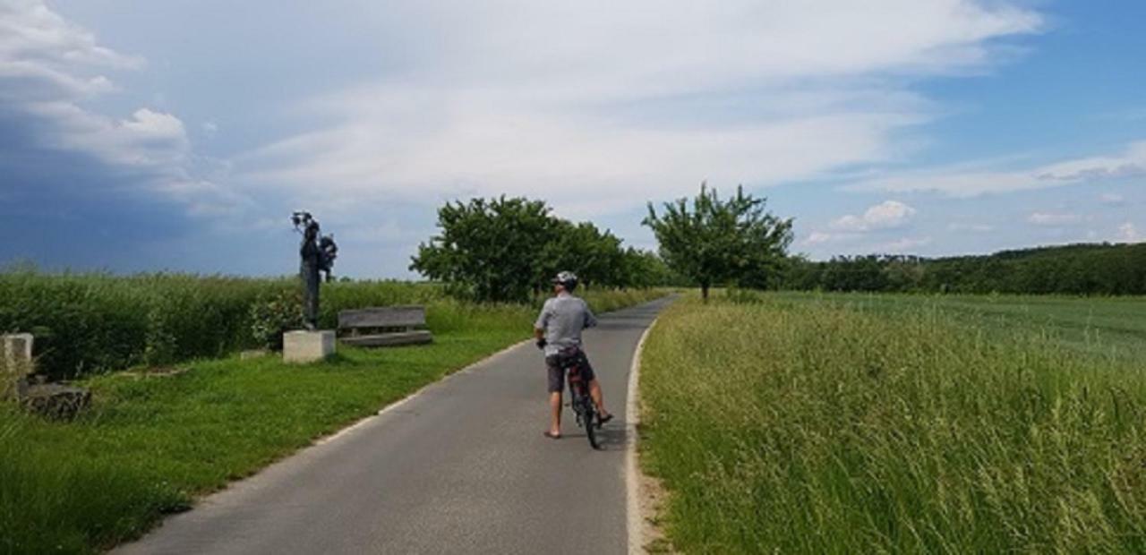 Ferienwohnung An Der Dorfmauer Sommerach Kültér fotó